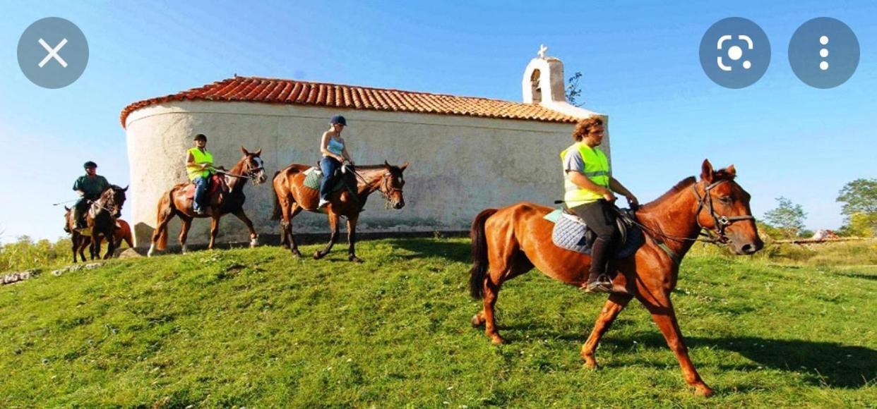 Villa Panta Zadar Zewnętrze zdjęcie